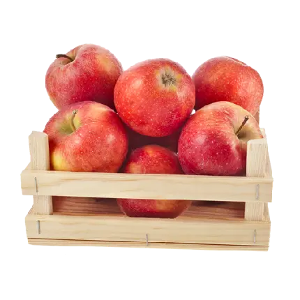 دانلود عکس سبد پر سیب قرمز و خوشمزه تابستانه با فرمت PNG 