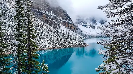 دریاچه احاطه شده با درختان کوهستان برفی