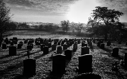 پس زمینه سیاه و سفید قبرستان در چمنزار به سبک گوتیک