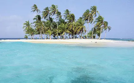 دانلود والپیپر لپ تاپ طرح جزیره کوچک پر دار و درخت 