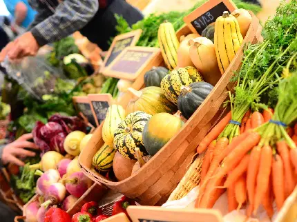 خوشمزه ترین تصویر بازار میوه و تره بار کدو و هویج 