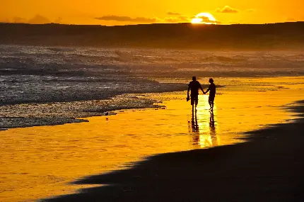 زوج رمانتیک در ساحل خلوت و آرامبخش دریا