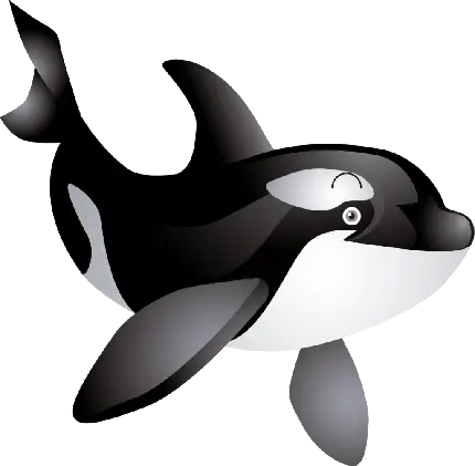 عکس نهنگ قاتل کارتونی با چهره ای کیوت و دوستداشتنی png