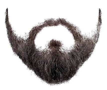 فایل PNG ریش Beard PNG Transparent