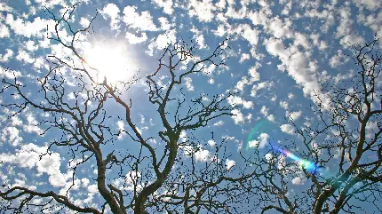 عکس خوشگل از آسمان آبی با ابر های زیبا و نور ملیح آفتاب 