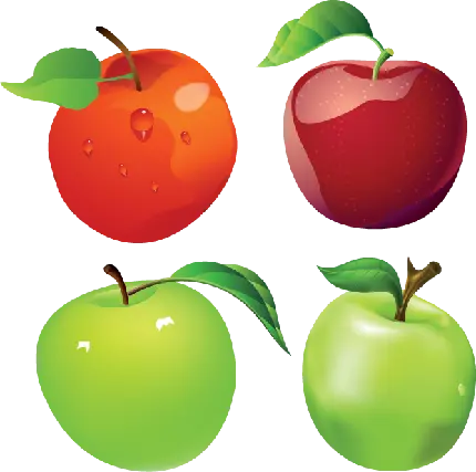 نقاشی گرافیکی کارتونی زیبا و حرفه ای سیب های قرمز و سبز png 