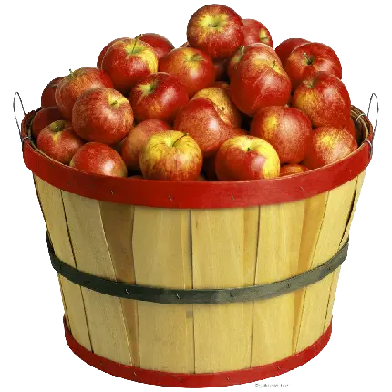 تصویر سبد پر سیب قرمز و خوشمزه صادراتی با فرمت PNG 