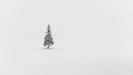 عکس درخت کاج تنها و کوچولو در منطقه ای پوشیده شده با برف