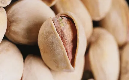 جدیدترین تصاویر پسته تازه و دلچسب با طعم قوی Pistachio