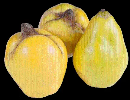 تصویر میوه به دوربری شده با فرمت PNG و رایگان