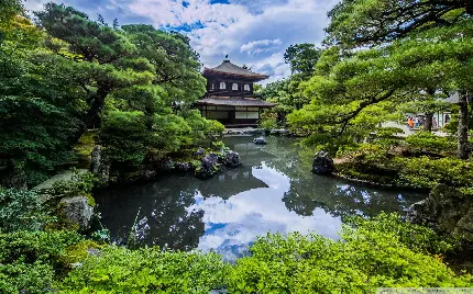 عکس زیبا از خانه چینی در وسط باغ بونسای Bonsai