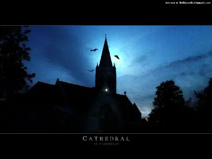 دانلود عکس سایه کلیسا جامع گوتیک در شب و پرواز کلاغ ها