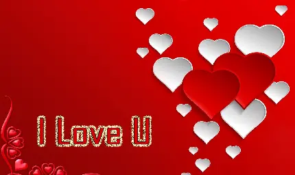 جمله عاشقانه i love you با رنگ قرمز و قلب های سفید و سرخ