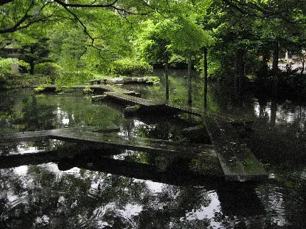 تصویر پل چوبی مشکی روی دریاچه باغ ذن با درختان سرسبز