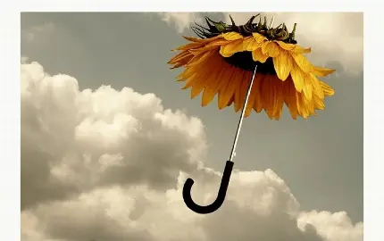 عکس دیدنی و جالب گل آفتاب گردان به شکل چتر زرد رنگ در هوا