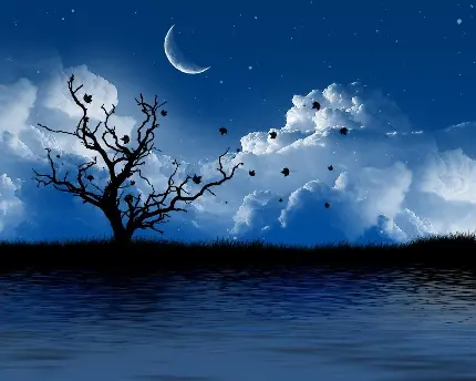 عکس منظره رمانتیک تک درخت پاییزی کنار دریاچه در شب مهتابی
