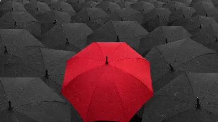 چتر قرمز در میان تعداد زیادی چتر مشکی زیر بارش باران