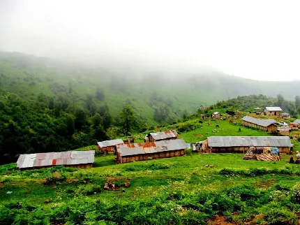 عکس جاده شمال تو ماشین