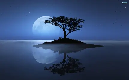 زیباترین تصویر زمینه جزیره کوچک با یک درخت و ماه