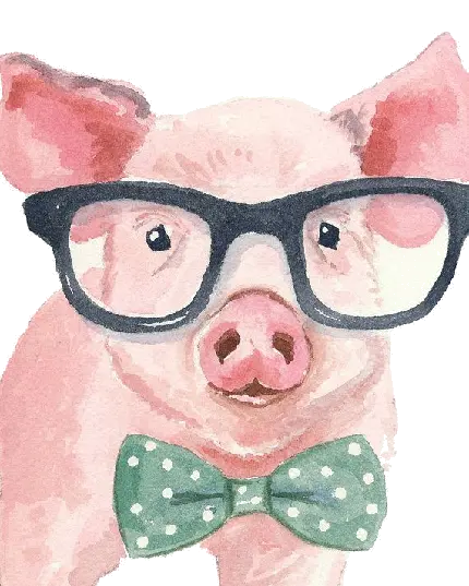 عکس خوک کارتونی و عینکی برای پروفایل