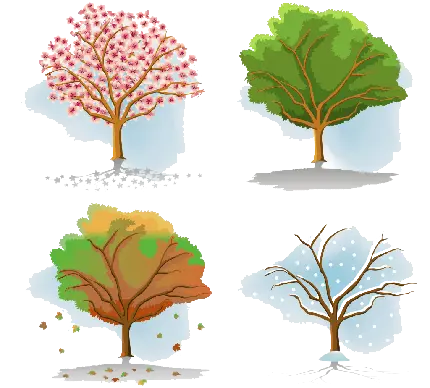 دانلود عکس درخت های کارتونی در چهار فصل سال