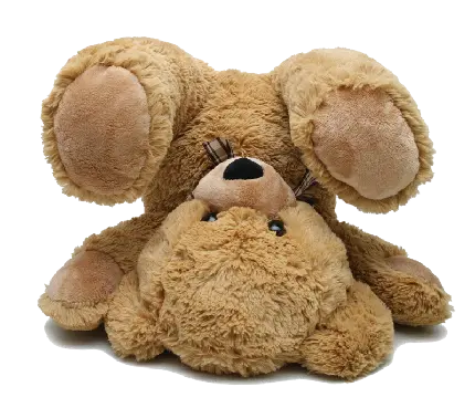عکس مدل خرس عروسکی زیبا و جذاب با کیفیت بالا
