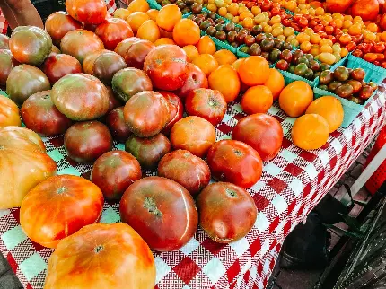 دانلود رایگان عکس بازار کشاورزی میوه و سبزیجات وارداتی 