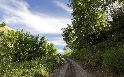 عکس جاده سرسبز رویایی با آسمان آبی مخصوص لوکیشن عکاسی 