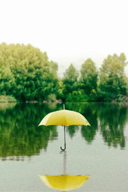 عکس واقعی چتر زرد معلق روی سطح آب دریاچه برای پروفایل هنری