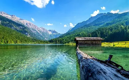 تصویر جذاب و دیدنی دریاچه پر از آب کوهستانی جنگلی با کیفیت بالا 
