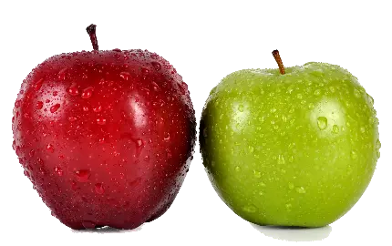 عکس پی ان جی png سیب سبز و قرمز دور بری شده رایگان 