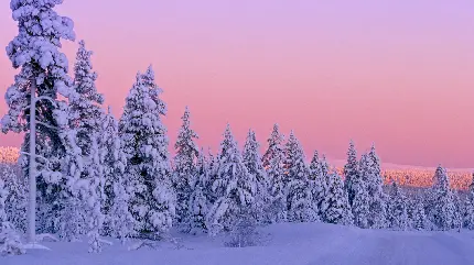 تصویر بسیار زیبا از طبیعت برفی در آسمان رو به غروب برای پروفایل
