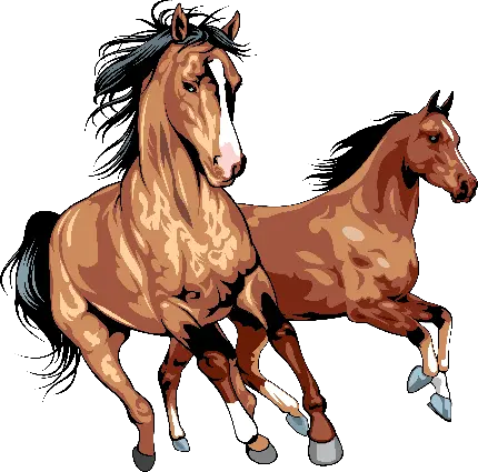 دانلود رایگان عکس PNG اسب با بدن عضلانی و پر قدرت 