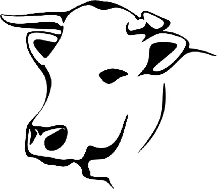 دانلود عکس نقاشی گاو با خطوط مشکی کیفیت عالی Cow PNG