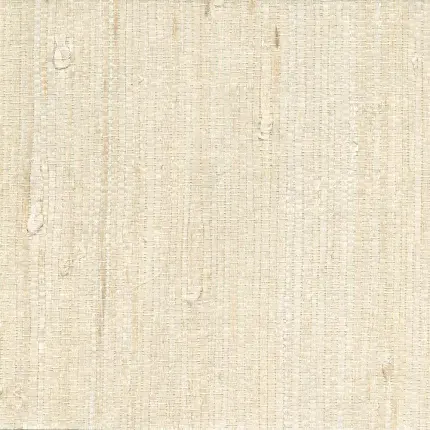 بک گراند سفید کیوت