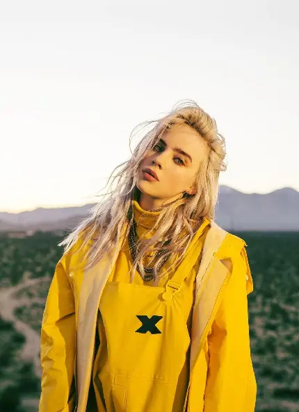 ساده ترین عکس بیلی آیلیش billie eilish خواننده و ترانه‌نویس آمریکایی