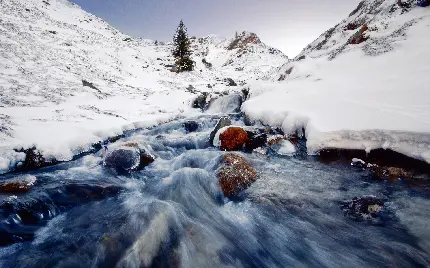 عکس از منظره سرد و بخ و برفی برای پروفایل زمستانی 