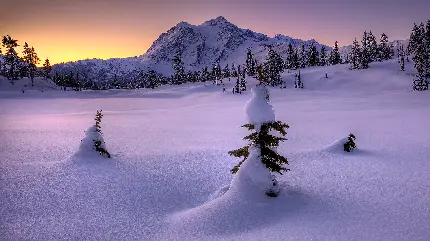 تصویر دیدنی از طبیعت مدفون میان برف ها برای پروفایل