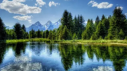 زیباترین تصویر طبیعت خوش آب و هوا دریاچه پر آب کوهستانی جنگلی 