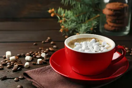 عکس شکلات داغ با شیر و مارشملو داخل لیوان هوس انگیز