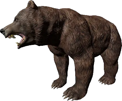 عکس دوربری شده خرس سیاه کارتونی با دندان های تیز از نزدیک