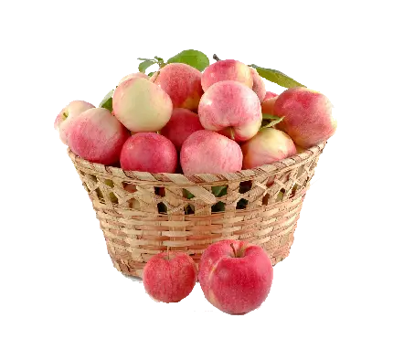 عکس پی ان جی png سبد سیب های خوشمزه و شیرین مناسب پذیرایی از مهمان 