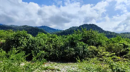 عکس جاده شمال تو ماشین