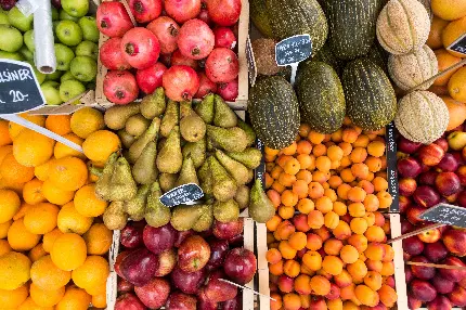 تصویر مغازه میوه و تره بار و بازار کشاورزی میوه ها و سبزیجات