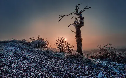 منظره بکر و زمستانی برای ایجاد استوری اینستاگرام 