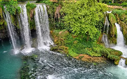 تصویر بسیار زیبا و دلنشین جاذبه گردشگری آبشار و درختان سرسبز 