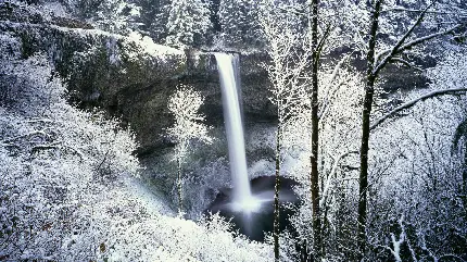 تصویر زمینه محشر از آبشار با آب یخ میان انبوه درختان پوشیده شده با برف