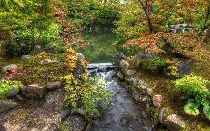 عکس از یک باغ با طبیعت محشر ژاپنی بنام باغ کیوتو در لندن