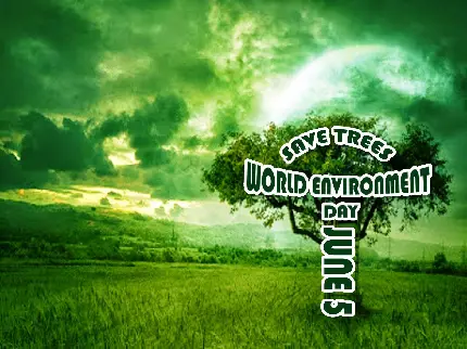 عکس تک درخت برای روز جهانی محیط زیست از سوی سازمان ملل
