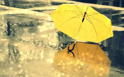 تصویر دلپسند چتر زرد زیر باران برای شبکه های اجتماعی